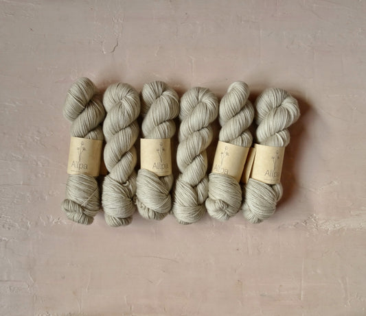Dandelion - MCN DK