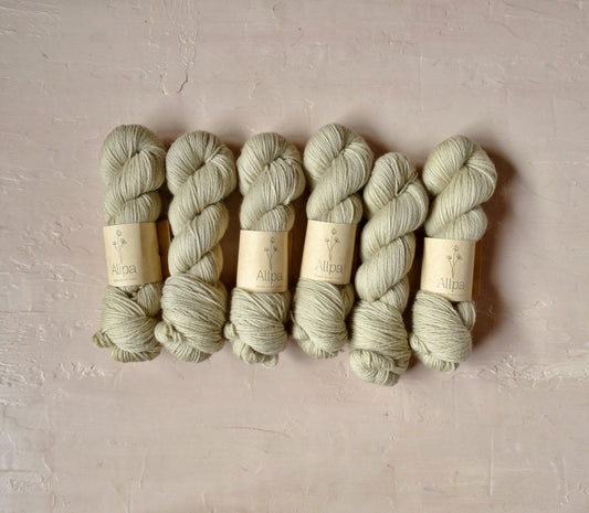 Dandelion - BFL DK
