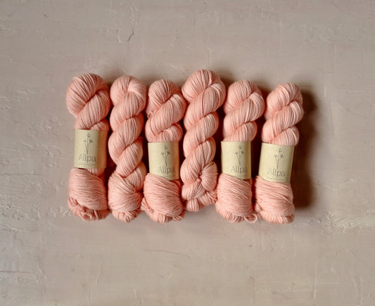 Blushy Coral - MCN DK