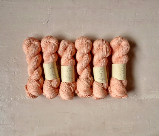 Blushy Coral - BFL DK